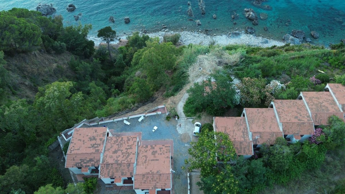 Panoramic parking